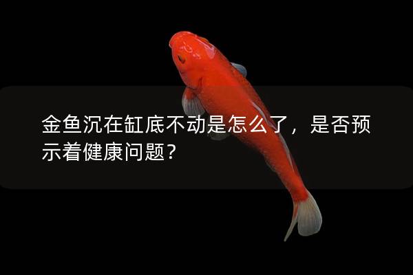 金鱼沉在缸底不动是怎么了，是否预示着健康问题？