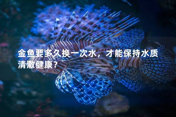 金鱼要多久换一次水，才能保持水质清澈健康？