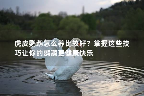 虎皮鹦鹉怎么养比较好？掌握这些技巧让你的鹦鹉更健康快乐