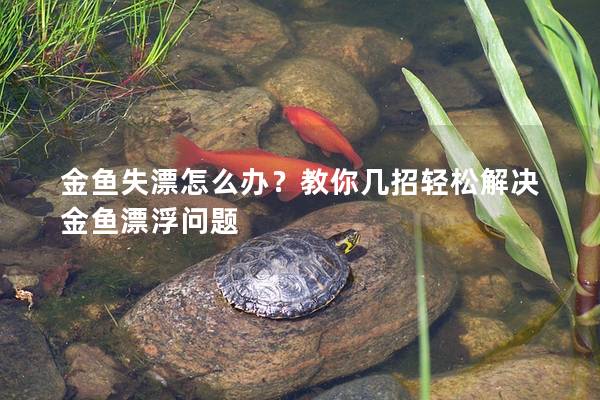 金鱼失漂怎么办？教你几招轻松解决金鱼漂浮问题