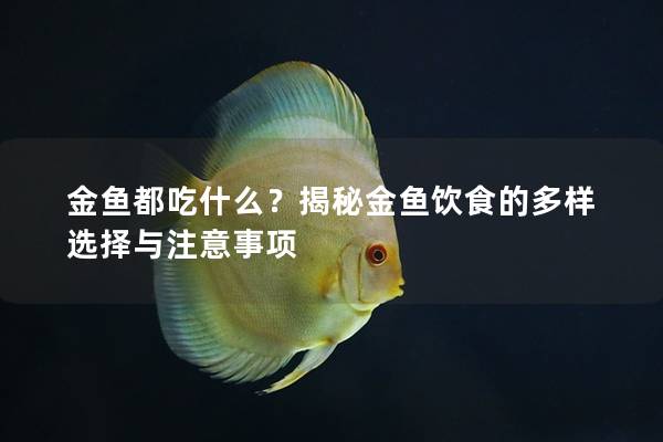 金鱼都吃什么？揭秘金鱼饮食的多样选择与注意事项