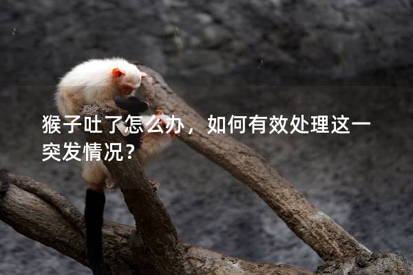 猴子吐了怎么办，如何有效处理这一突发情况？