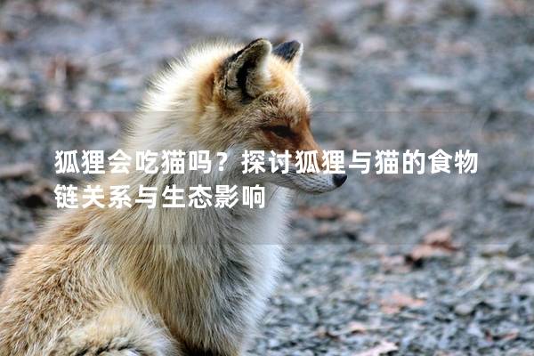 狐狸会吃猫吗？探讨狐狸与猫的食物链关系与生态影响