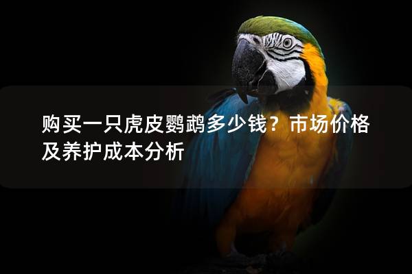 购买一只虎皮鹦鹉多少钱？市场价格及养护成本分析