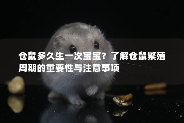 仓鼠多久生一次宝宝？了解仓鼠繁殖周期的重要性与注意事项