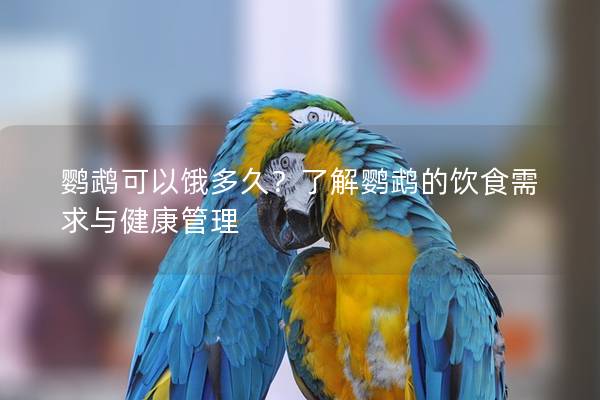 鹦鹉可以饿多久？了解鹦鹉的饮食需求与健康管理