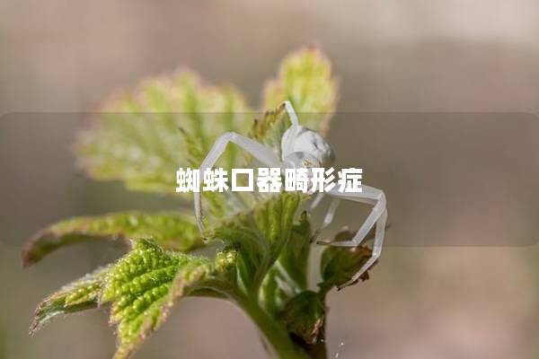 蜘蛛口器畸形症