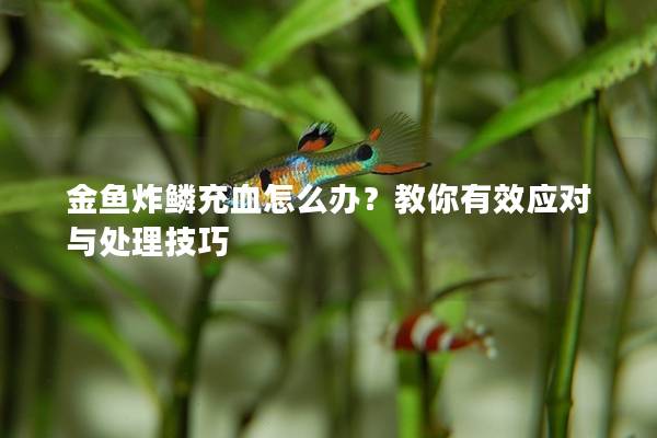 金鱼炸鳞充血怎么办？教你有效应对与处理技巧