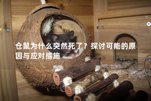 仓鼠为什么突然死了？探讨可能的原因与应对措施