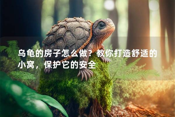 乌龟的房子怎么做？教你打造舒适的小窝，保护它的安全