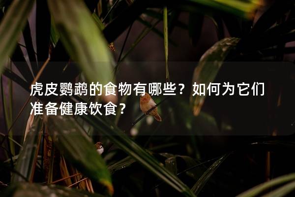 虎皮鹦鹉的食物有哪些？如何为它们准备健康饮食？