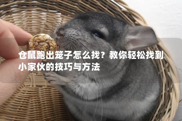 仓鼠跑出笼子怎么找？教你轻松找到小家伙的技巧与方法