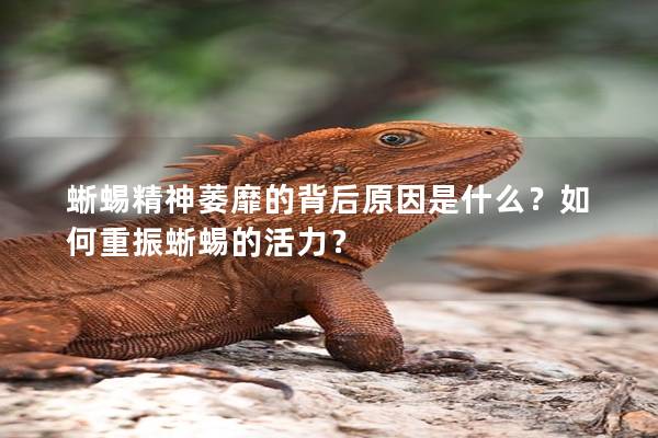 蜥蜴精神萎靡的背后原因是什么？如何重振蜥蜴的活力？