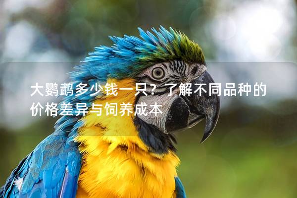 大鹦鹉多少钱一只？了解不同品种的价格差异与饲养成本