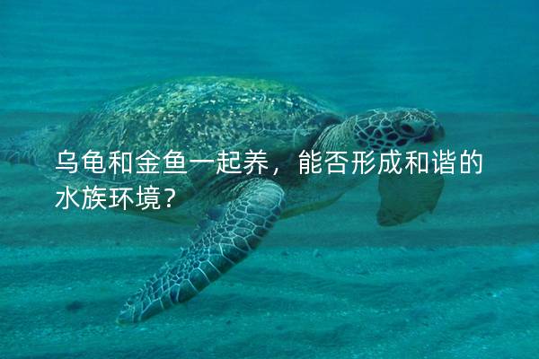 乌龟和金鱼一起养，能否形成和谐的水族环境？