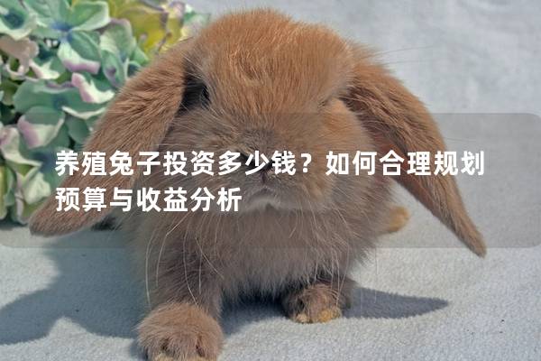 养殖兔子投资多少钱？如何合理规划预算与收益分析