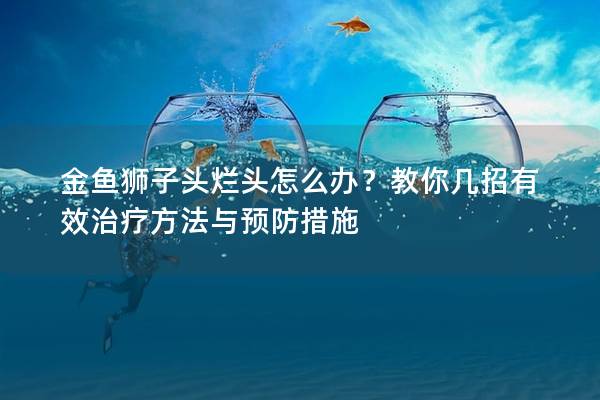 金鱼狮子头烂头怎么办？教你几招有效治疗方法与预防措施