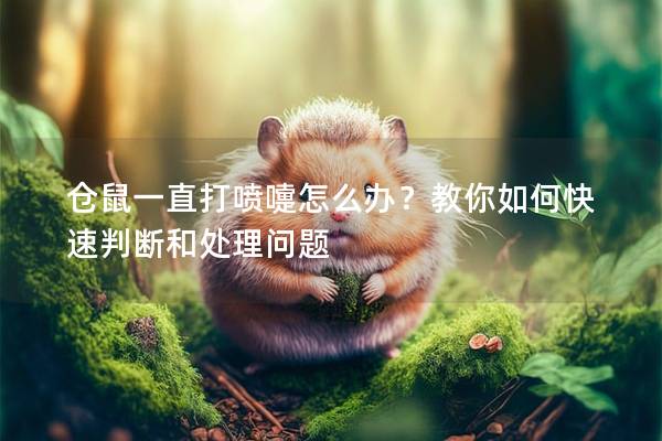 仓鼠一直打喷嚏怎么办？教你如何快速判断和处理问题