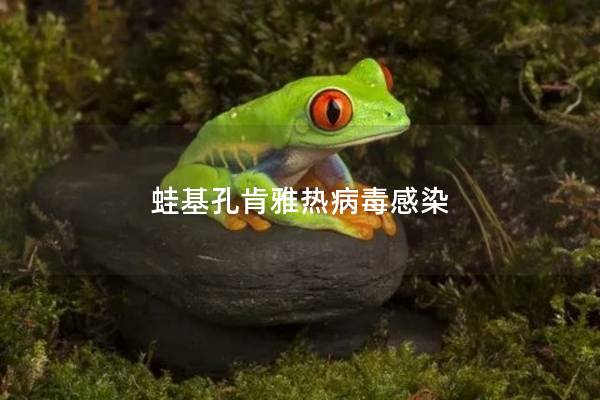 蛙基孔肯雅热病毒感染