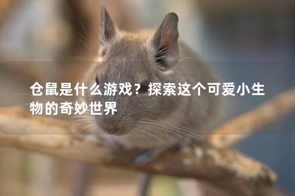 仓鼠是什么游戏？探索这个可爱小生物的奇妙世界