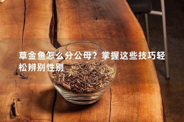 草金鱼怎么分公母？掌握这些技巧轻松辨别性别