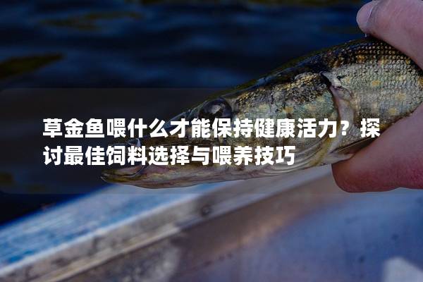 草金鱼喂什么才能保持健康活力？探讨最佳饲料选择与喂养技巧