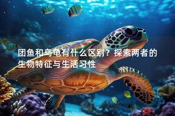 团鱼和乌龟有什么区别？探索两者的生物特征与生活习性