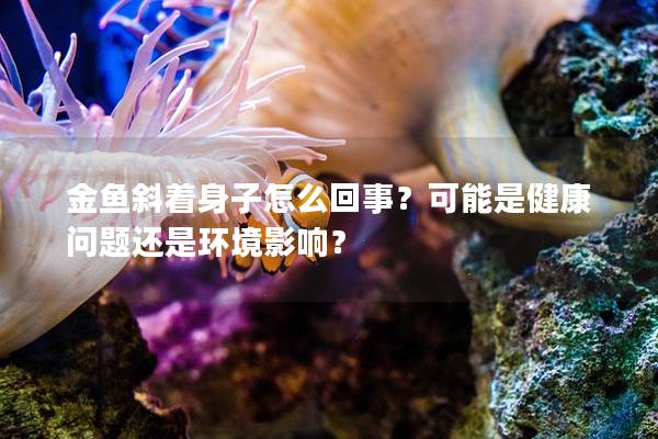 金鱼斜着身子怎么回事？可能是健康问题还是环境影响？