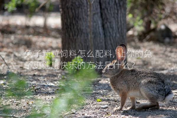 兔子颗粒饲料怎么配料, 让你的兔子更健康快乐的方法是什么？