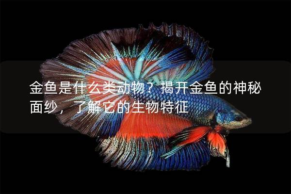 金鱼是什么类动物？揭开金鱼的神秘面纱，了解它的生物特征