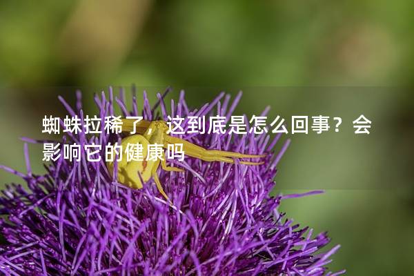 蜘蛛拉稀了，这到底是怎么回事？会影响它的健康吗