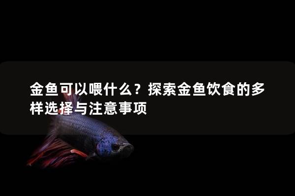 金鱼可以喂什么？探索金鱼饮食的多样选择与注意事项