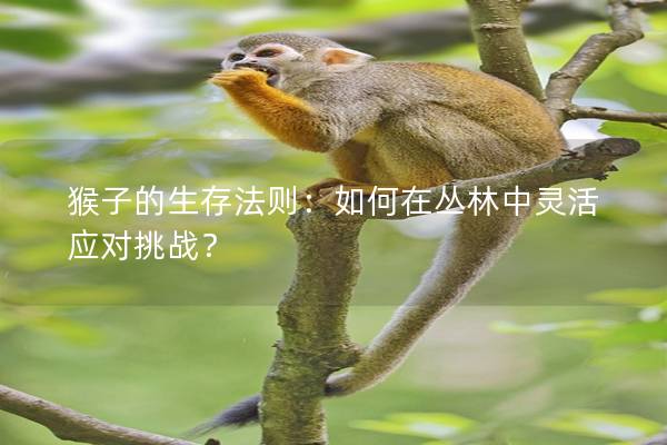 猴子的生存法则：如何在丛林中灵活应对挑战？