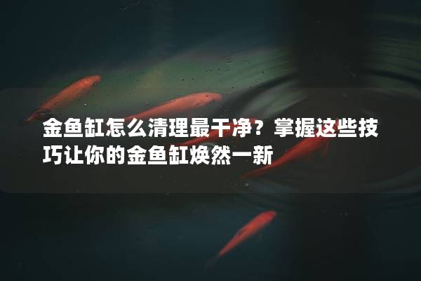 金鱼缸怎么清理最干净？掌握这些技巧让你的金鱼缸焕然一新