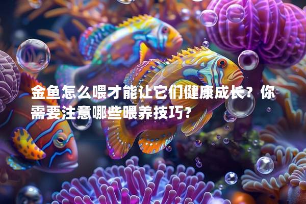 金鱼怎么喂才能让它们健康成长？你需要注意哪些喂养技巧？