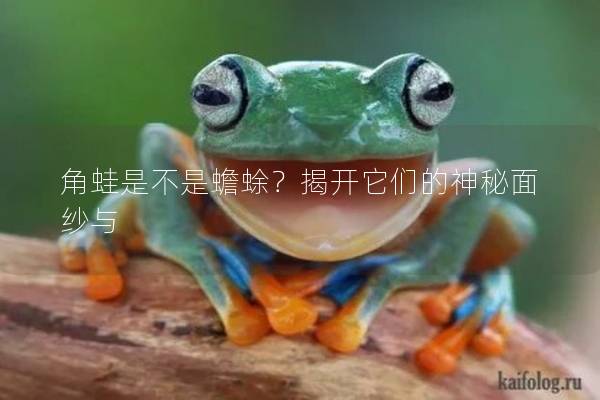 角蛙是不是蟾蜍？揭开它们的神秘面纱与