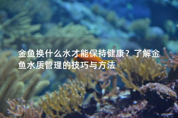 金鱼换什么水才能保持健康？了解金鱼水质管理的技巧与方法