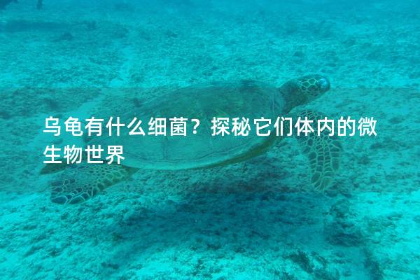 乌龟有什么细菌？探秘它们体内的微生物世界