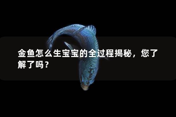 金鱼怎么生宝宝的全过程揭秘，您了解了吗？