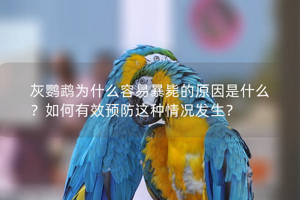 灰鹦鹉为什么容易暴毙的原因是什么？如何有效预防这种情况发生？