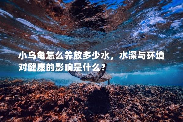 小乌龟怎么养放多少水，水深与环境对健康的影响是什么？