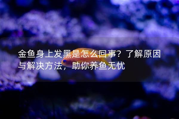 金鱼身上发黑是怎么回事？了解原因与解决方法，助你养鱼无忧