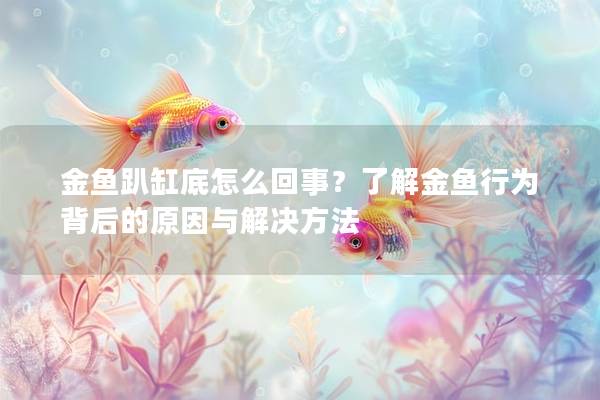 金鱼趴缸底怎么回事？了解金鱼行为背后的原因与解决方法