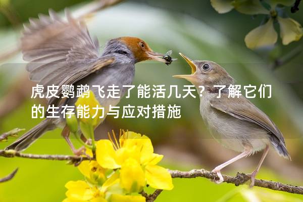 虎皮鹦鹉飞走了能活几天？了解它们的生存能力与应对措施