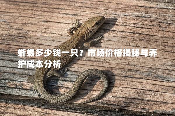 蜥蜴多少钱一只？市场价格揭秘与养护成本分析