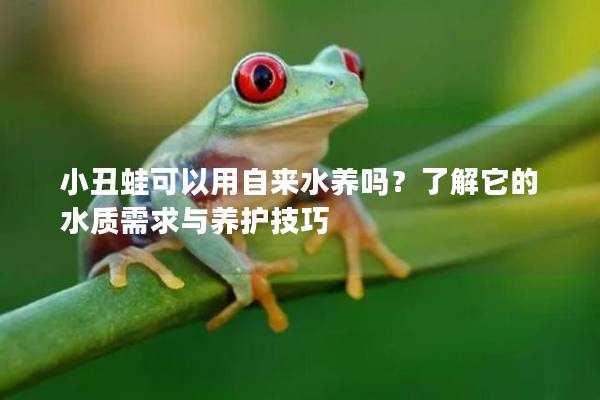 小丑蛙可以用自来水养吗？了解它的水质需求与养护技巧