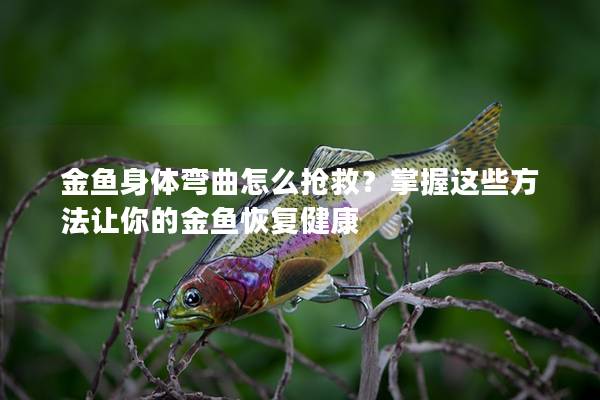 金鱼身体弯曲怎么抢救？掌握这些方法让你的金鱼恢复健康