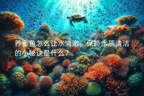 养金鱼怎么让水清澈，保持水质清洁的小秘诀是什么？