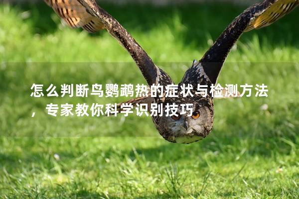 怎么判断鸟鹦鹉热的症状与检测方法，专家教你科学识别技巧