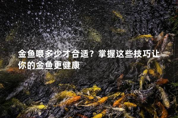 金鱼喂多少才合适？掌握这些技巧让你的金鱼更健康